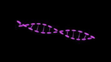 dna Doppio elica sfondo animato. video