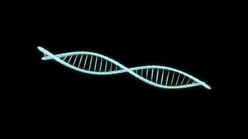 dna Doppio elica sfondo animato. video