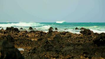 A narrow strip of blue sea, volcanic coast. video