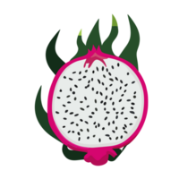 Dragão fruta transparente plano de fundo,ai generativo png