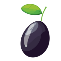 jamun fruit transparant achtergrond, ai generatief png