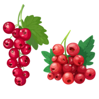 Red Currant transparent background,Ai generative png