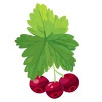 Red Currant transparent background,Ai generative png