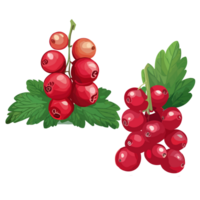 rosso ribes trasparente sfondo, ai generativo png