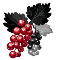 Red Currant transparent background,Ai generative png