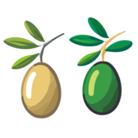 Olive transparent background,Ai generative png