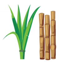 canne à sucre transparent arrière-plan, ai génératif png