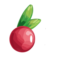 Cranberry transparent background,Ai generative png