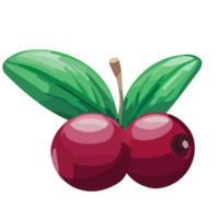 Cranberry transparent Hintergrund, ai generativ png