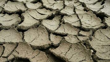 The ground cracked by sunlight and global warming.The ground was cracked by the drought of the harsh natural climate. video