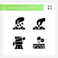 Growing plants black glyph icons set on white space. Organic gardening. Seed germination. Horticulture farming. Crop growth. Silhouette symbols. Solid pictogram pack. Vector isolated illustration