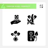 Horticulture black glyph icons set on white space. Plant breeding. Flower farming. Floriculture industry. Ornamental gardening. Silhouette symbols. Solid pictogram pack. Vector isolated illustration