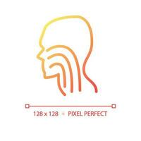 Trachea pixel perfect gradient linear vector icon. Throat structure performing. Human body parts. Medical examination. Thin line color symbol. Modern style pictogram. Vector isolated outline drawing