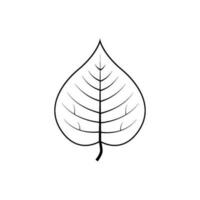 Outline tree leaf vector illustration isolated on transparent background