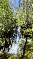 Vertical video of beautiful small waterfall near Chilliwack lake