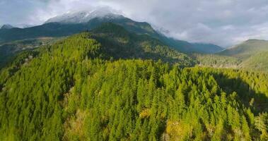 Aerial view of Canadian mountain landscape near the Harrison Lake at sunset video