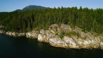 Aerial view of the coastal line in Lighthouse Park West Vancouver video