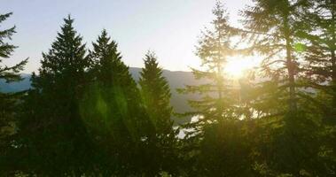 aereo Visualizza a partire dal Burnaby montagna parco di in profondità baia baia video