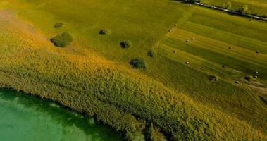 Antenne Aussicht von das See Biel, Schweiz. video