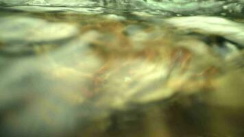 Underwater footage of the river current video