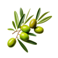 olive brindille avec nombreuses vert Olives sur il. illustration ai génératif png