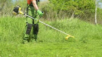 gaz chaîne tondeuse travail. caucasien jardinier avec Puissance outil dans le jardin. video