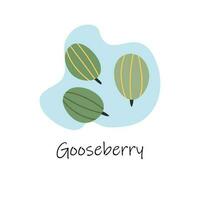 Vector hand drawn isolated gooseberry with lettering. Gooseberry fruits. Flat illustration. Ripe berries.Cartoon style.Flat gooseberry icon, logo for web, design,