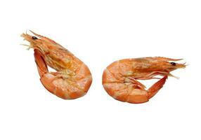 Red cooked prawn isolated in white background photo
