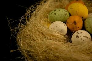 huevos de pascua en el nido foto