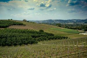 beautiful spring landscapes in Costigliole d'Asti, in the Piedmontese elangh of the Asti area, in the spring of 2023 photo