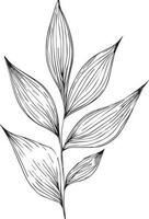 Hand drawn botanical spring elements leaf line art coloring page leaafs vector art