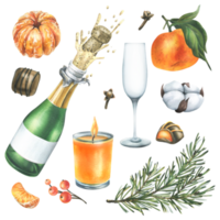 Christmas collection with tangerines, sweets, spices, champagne and plants. Watercolor illustration, hand drawn for holiday decor.. Set of isolated objects png