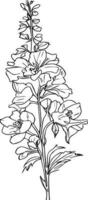 simple miimilis delphinium flower tattoo drawing, artistic hand-drawn pencil sketch coloring page with blossom larskapur branches sticl of leaf natural floral collection, small tatto with delphinium. vector