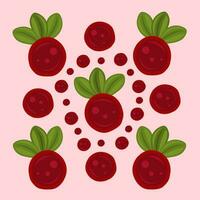 Lingonberry vector illustration for graphic design and decorative element