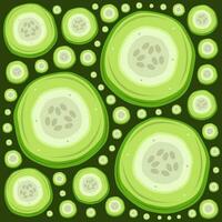 Fresh cucumber slice vector illustration for graphic design and decorative element