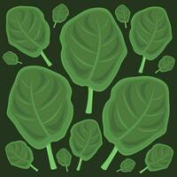 Collard vector illustration for graphic design and decorative element