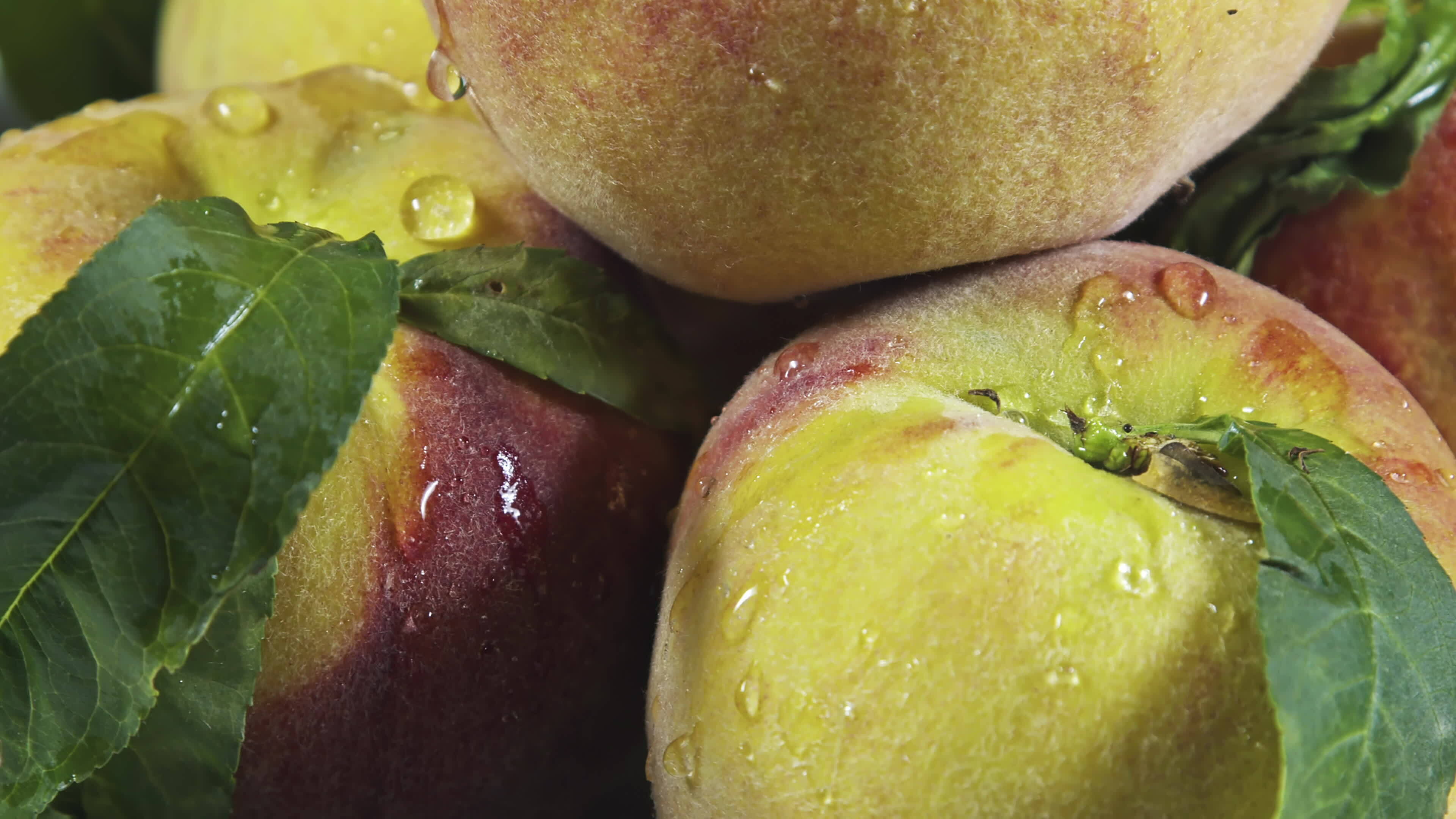 Peaches Close Up Loop Motion Rotation 25339668 Stock Video at Vecteezy