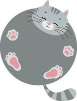 Funny cute cat with round body vector