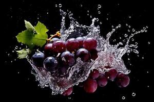 stock photo of water splash with grape isolated food photography