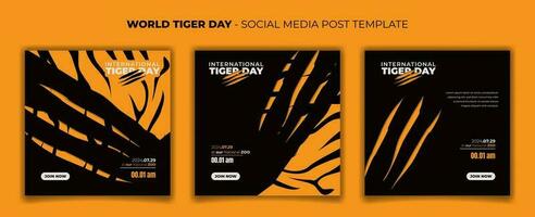 conjunto de social medios de comunicación modelo con Tigre y Tigre rasguño antecedentes para Tigre día diseño vector