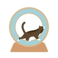 cat supplies. A cat running on a cat wheel. vector