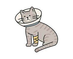 linda gato. un lesionado gato es vistiendo un cuello collar y un vendaje. vector