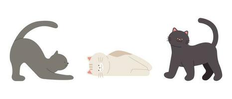 Cute cat. Pose of a black, gray, white cat. vector