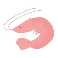 sea life illustration.Simple hand-painted shrimp. vector