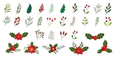 Set of Christmas floral ornament vector
