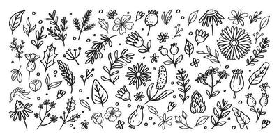 Big set of spring floral hand drawn illustration vector