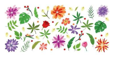 Big bundle of colorful trendy floral element vector