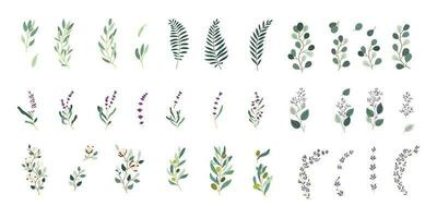 Set of spring leaf and flower elements vector