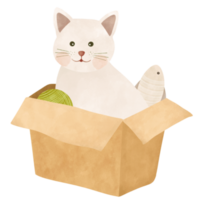 carino gatto nel un' scatola di carta cartone animato illustrazione png