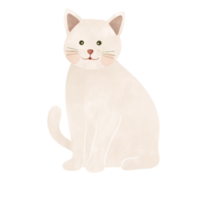 ilustração de desenho de gato fofo png